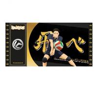 Black Ticket Haikyu!! - Sawamura Col01