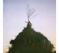 Black to Comm - Alphabet 1968 [Vinilo]