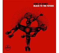 Black To The Future - Vinyle