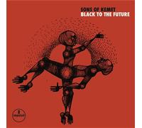 Black To The Future Vinyle