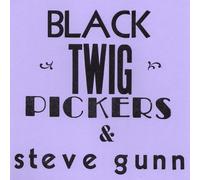 Black Twig Pickers & Steve Gunn - Lonesome
