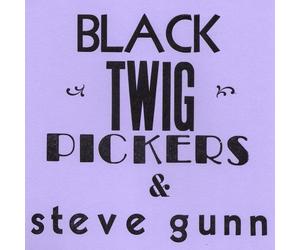 Black Twig Pickers & Steve Gunn - Lonesome