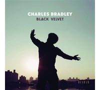 Black Velvet