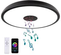 Black Waterproof Smart Led Ceiling Light With Bluetooth Speaker, Rgb Function, Adjustable Light, Tuya App Control, Compatible With Alexa And Google Home