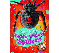 Black Widow Spiders