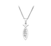 BlackAmazement Pendentif en acier inoxydable 316L Ichthys Poisson eucharistique symbole chrétien Inscription Jésus Argent Or Femme Homme, Acier inoxydable