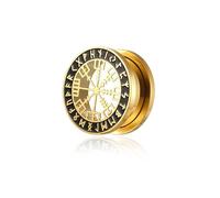 BlackAmazement Tunnel d'oreille en acier inoxydable 316L Vegvisir Aegishjalmur Aegishjalmr Symbole Viking Casque de terreur Runes Cercle Noir Argent Biker Homme, Acier inoxydable