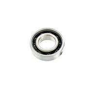 Blackbearing BB-UB-6805-CS Roulement Mixte Adulte, Argent