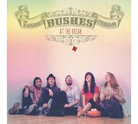 Blackberry Bushes Stringband - at The Break