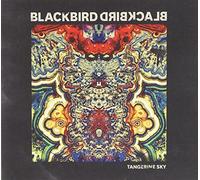 Blackbird Blackbird - Tangerine Sky [Import]