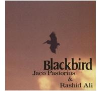 Pastorius, Jaco / Ali, Rashied - Blackbirds [Import]