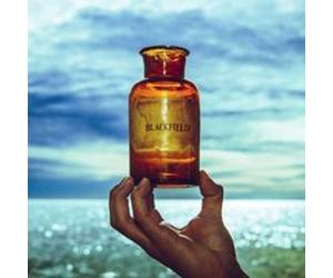 Blackfield V