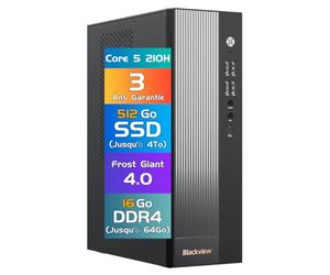 Blackview NEX60 Business Office PC Win 11 Pro, 13th Intel Core 5 210H (8C/12T), 16Go RAM 512Go SSD (Up to 64GB+4TB) Mini Ordinateur de Bureau, 4K@60Hz Display HDMI+VGA, USB3.2/WiFi6 [3-Year Warranty]