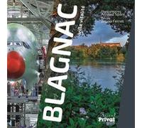 Blagnac, ville unique et plurielle Bruno Ferret (Auteur)