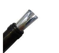 Blaihild Ensemble de Verseurs de Vin en Argent, Tablette Verseuse de Vin en Papier d'aluminium, Disque Anti-goutte pour et Whisky 20 Pièces (SILVER)