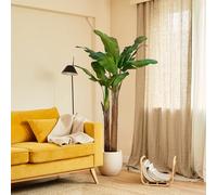 BLAINE | Bananier Artificiel 180 cm | Plantes Décoratives Artificielles | Grandes Plantes Artificielles | Intérieur/Extérieur | Plantes Artificielles Réalistes | Pas d'entretien
