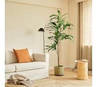 BLAINE | Dracaena Artificiel 175cm | Plantes Artificielles Interieur | Plantes Artificielles | Plante Artificielle Exterieur |Grande Plante Artificielle Interieur |Arbre Artificiel |Fausses Plantes