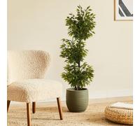 BLAINE | Ficus 3 Coupes 180cm | Plantes Artificielles Interieur | Plantes Artificielles | Plante Artificielle Exterieur | Grande Plante Artificielle Interieur | Arbre Artificiel | Fausses Plantes