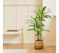 Blaine - Plante Artificielle Dracaena 150 cm