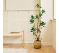 Blaine - Plante Artificielle Dracaena Reflexa 150 cm