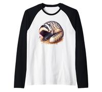 Blaireau européen Manche Raglan