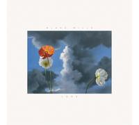 Blake Mills Look (Vinyl) 12" Album