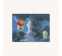 Blake Mills Look (Vinyl) 12" Album