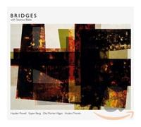 Seamus Blake – Bridges – Import (AMP Diagnostics)