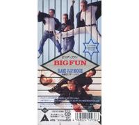 Blame It On The Boogie