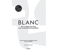Blanc: De la Vénus de Milo aux achromes de Manzoni