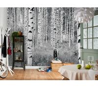 Blanc Salle à Manger Papier Peint Mural Facile à Appliquer Épais Bouleau Forêt