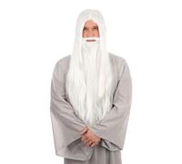 Blanc Sorcier Perruque & Barbe Halloween Gandalf Merlin Déguisement Hommes Robe