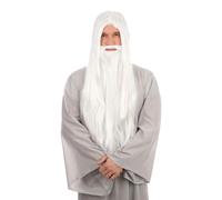 Blanc Sorcier Perruque & Barbe Halloween Gandalf Merlin Déguisement Hommes Robe