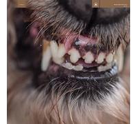 Blanck Mass - World Eater (Clear Red Splatter Vinyl)