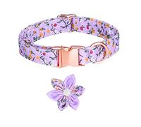 Blank Angel Wing Multicolor Cubic Zirconia Ajustement Zircone Chaîne de glissière Femme Bijoux