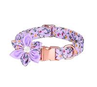 Blank Angel Wing Multicolor Cubic Zirconia Ajustement Zircone Chaîne de glissière Femme Bijoux