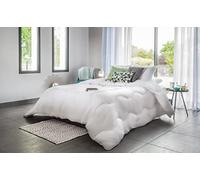 Blanrêve - Couette Protect Planet - pour Lit de 2 Personnes - 260x240 cm