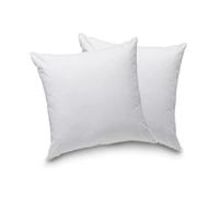 Blanrêve - Lot de 2 Oreillers Confort - Fibres synthétiques - Blanc - 60x60 cm, Polyester
