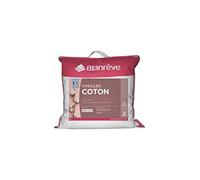 Blanrêve Lot de 2 Oreillers en coton – 60 x 60 cm – Blanc