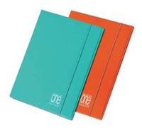 Blasetti 6506 fichier Carton Couleurs assorties A4 G