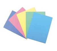 Blasetti 679 fichier Carton Couleurs assorties A4 G