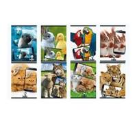 Blasetti - - Papier Kraft