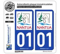 blasonimmat 2 Autocollants Plaque immatriculation Auto 01 Nantua - Ville