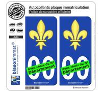 blasonimmat 2 Autocollants Plaque immatriculation Auto : Fleur de Lys