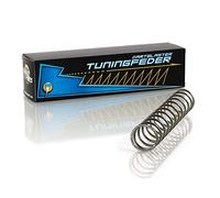 Blasterparts Ressort de tuning compatible avec Dartblaster X-Shot Turbo Fire
