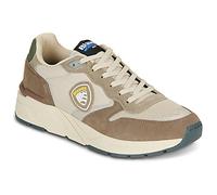Blauer Baskets montantes RAY in Marron 45