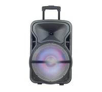 Blaupunkt BLP3937 - Enceinte sans fil Bluetooth - Noir