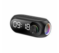 Blaupunkt Haut-Parleur Bluetooth BLP2250N, Horloge/réveil+FM+USB+AUX+SD Couleur Noir