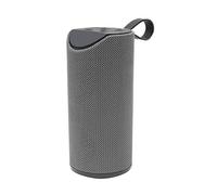 BLAUPUNKT - MP3770-153 - Enceinte Portable - Compatible - Bluetooth - 10W - Gris