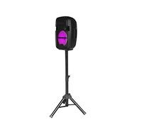 Blaupunkt - MP3975-133 - Enceinte LED Multicolore avec Support Pieds- Compatible Bluetooth - 15W - Noir
